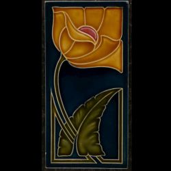 AN4943 Nstg Half tile € 89,00